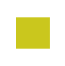 Car Icon