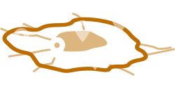 view_trips@2x